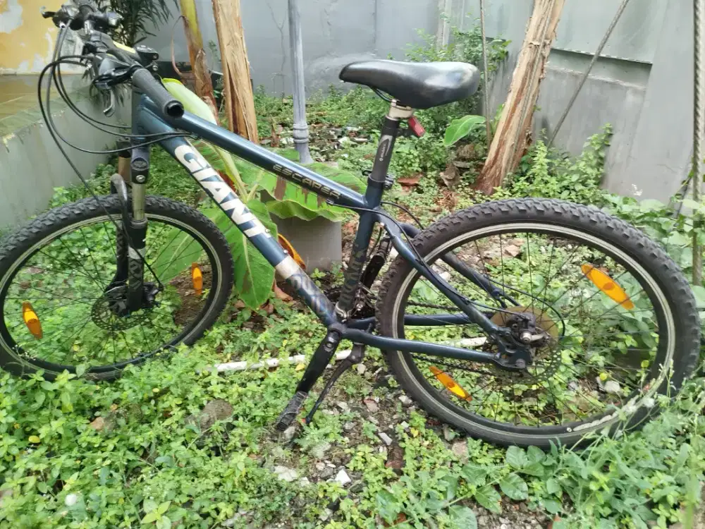 Sepeda Gunung Giant Escaper