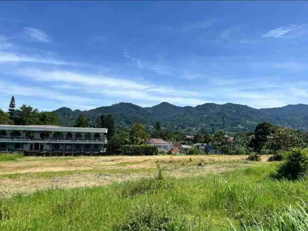 jual tanah kavling 300meter dari jl raya utama puncak