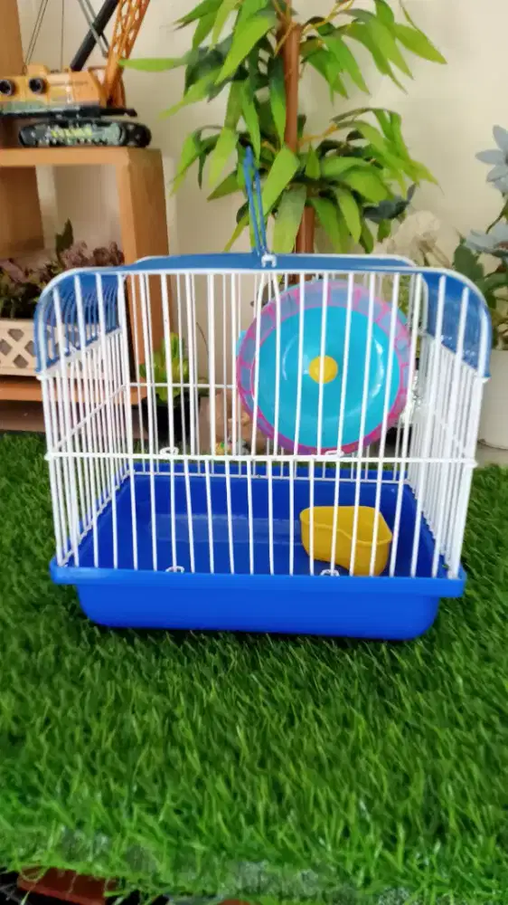 Sangkar hamster
