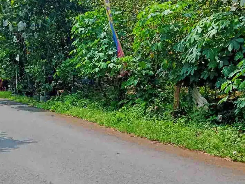 promo awal tahun harga dibawah NJOP perum GP3 diBanyumanik