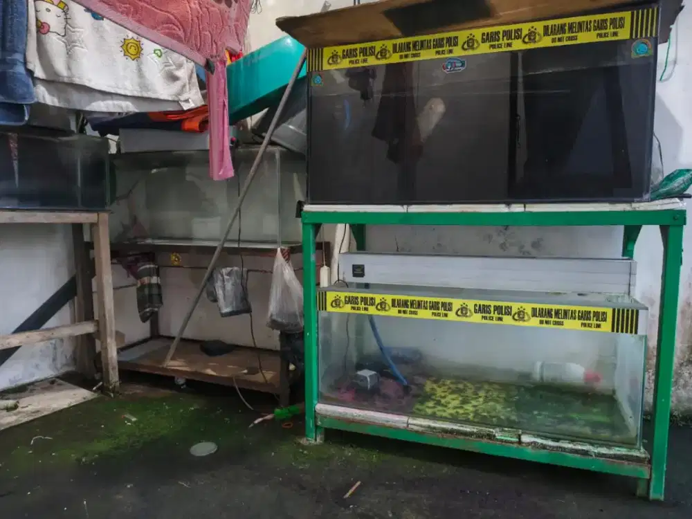 Set aquarium + meja susun nya