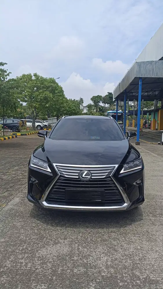 LEXUS RX300 LUXURY AT 2018