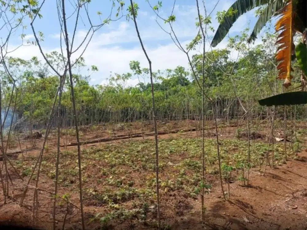 Dijual Tanah sekitar Jalan Poros Kariango, Maros