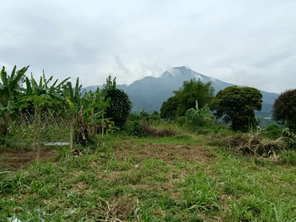 Kavling Diskon 25 Jt 2 Menit Camping ground paguyuban gunung salak