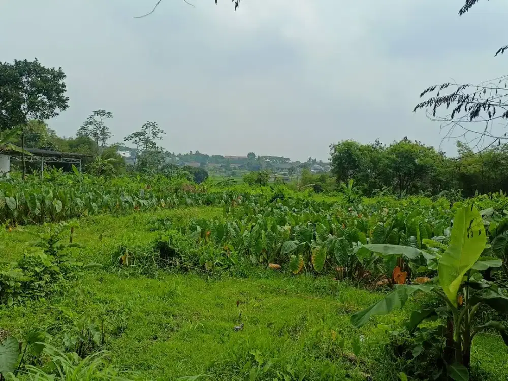 10 Menit IPB Dramaga Kavling Strategis Free SHM