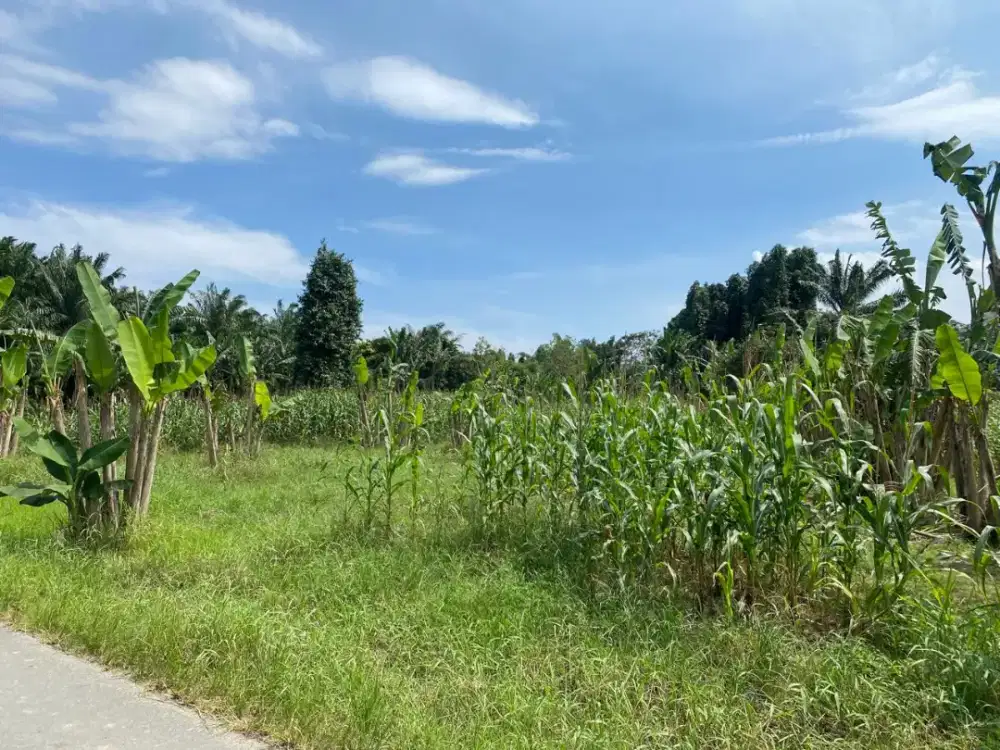 Tanah cantiik lokasi strategis, Jalan Damai, Tumpatan Nibung