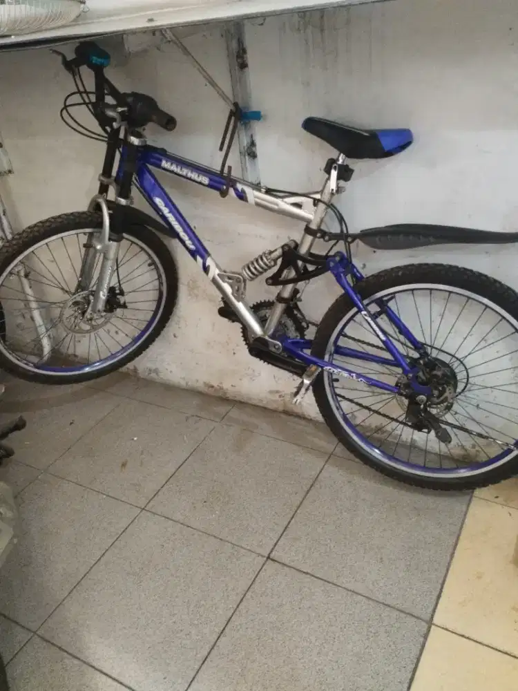 Sepeda gunung sports