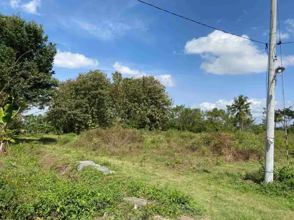 Jual Tanah Kavling Murah Malang