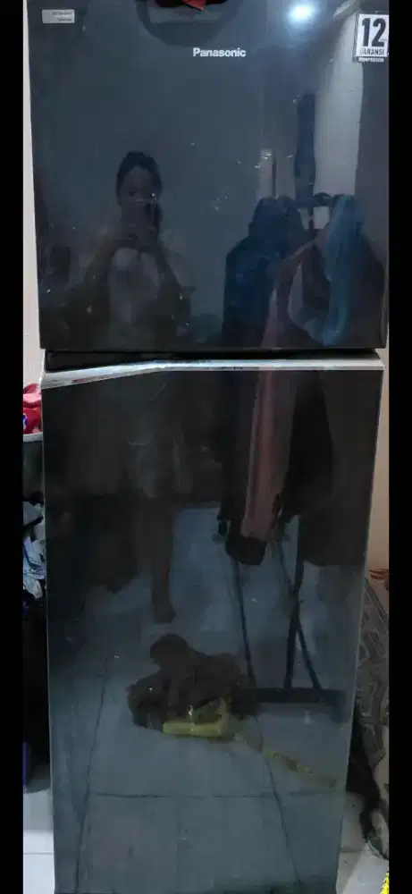 Jual kulkas panasonic 2 pintu