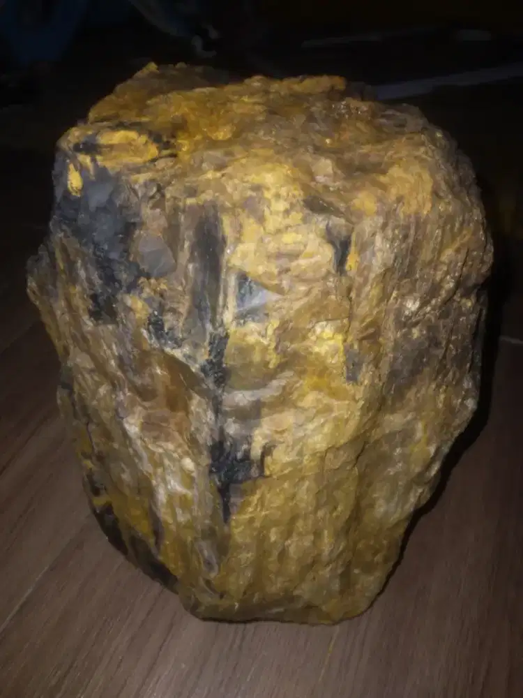 BATU FOSIL KAYU SERAT EMAS