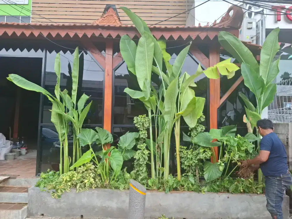 Dibutuhkan segera koki Seafood dan chinesse Food