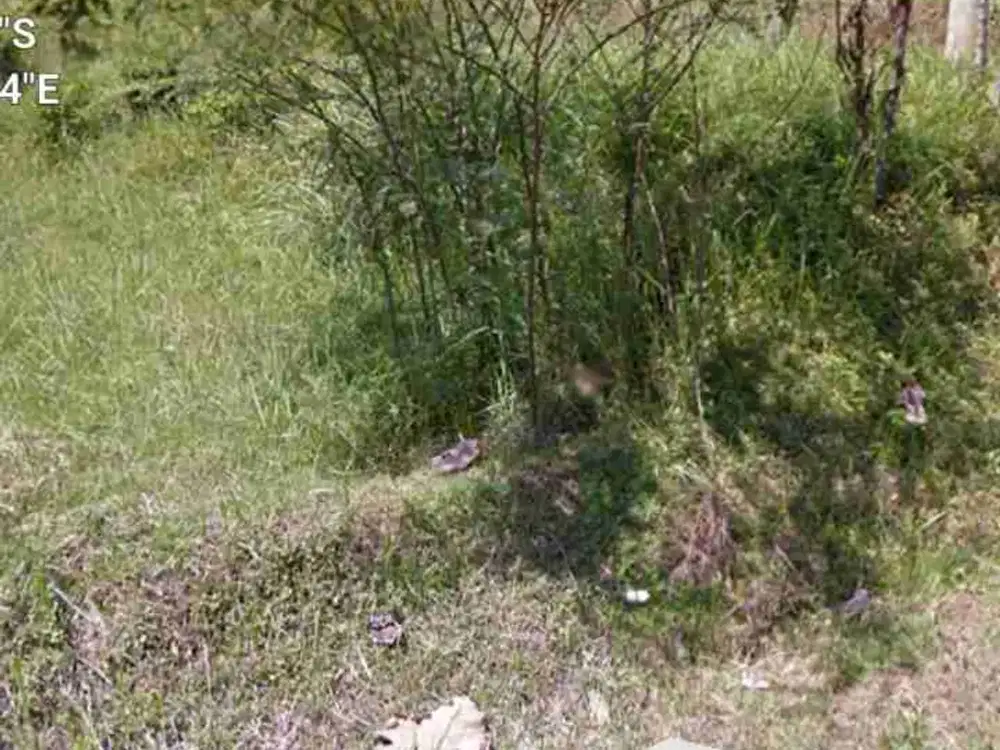 Lahan luas 240 m2 harga 1,3 juta permeter, 27 km dari gerbang tol Penompo, Mojokerto