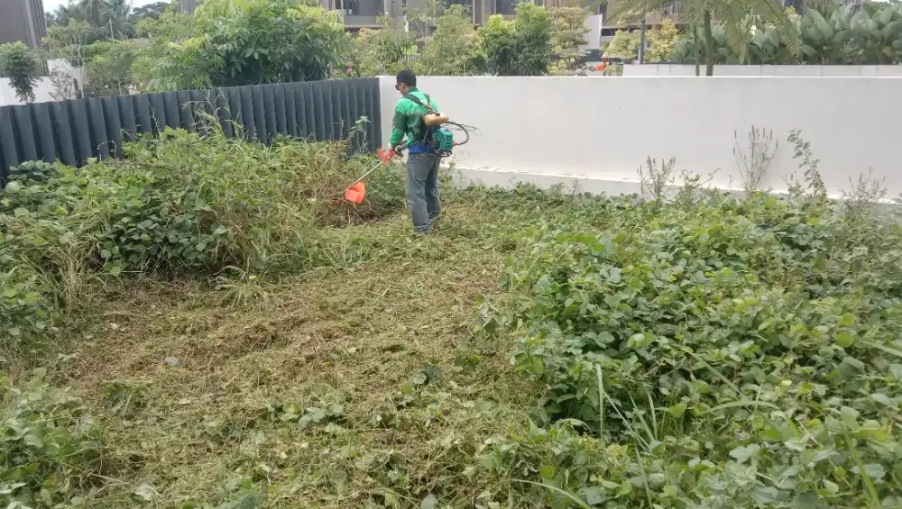 Jasa potong rumput , bebersih