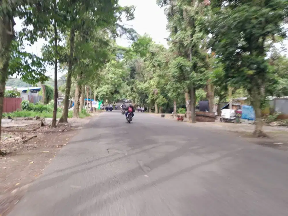 Tanah Cifor Strategis Pinggir Jalan, Bonus Kulkas & Mesin Cuci