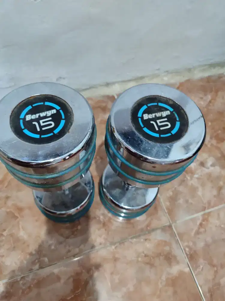 Barbel Berwyn Original - 15 Kg sepasang total 30kg