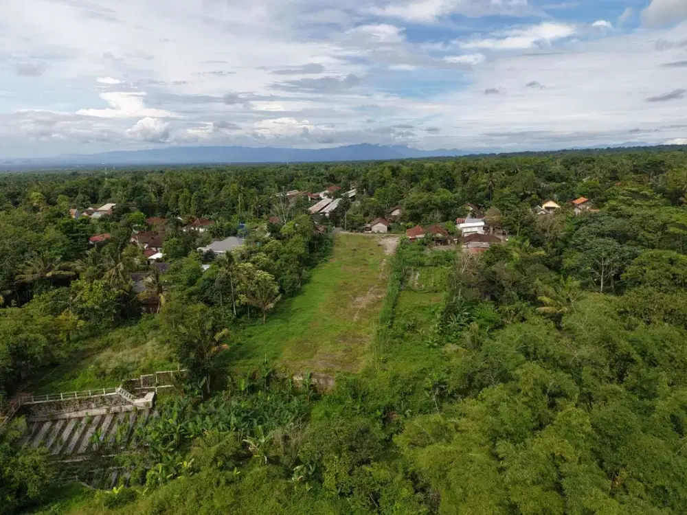 2 Tanah SHM Pekarangan Lingkungan Asri dan Sejuk Jauh dari Hiruk Pikuk