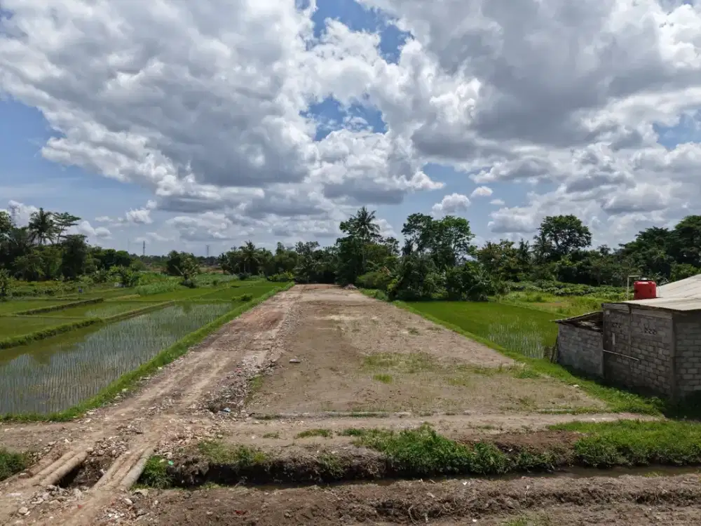 Tanah SHM Area Palagan dengan Udara Sejuk dan View Merapi Cocok untuk Villa