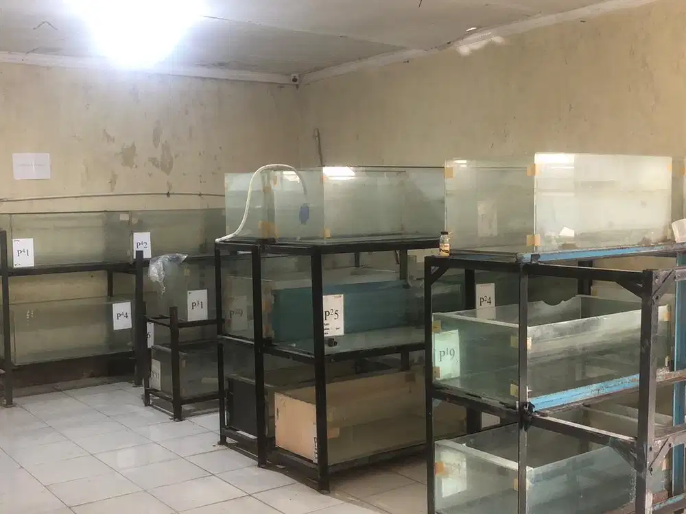 menjual akuarium bekas ikan hias