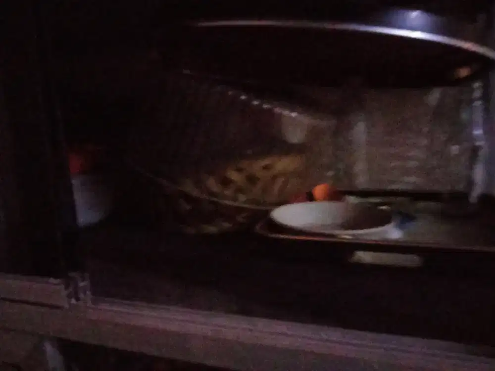 Rak Piring Dua Pintu