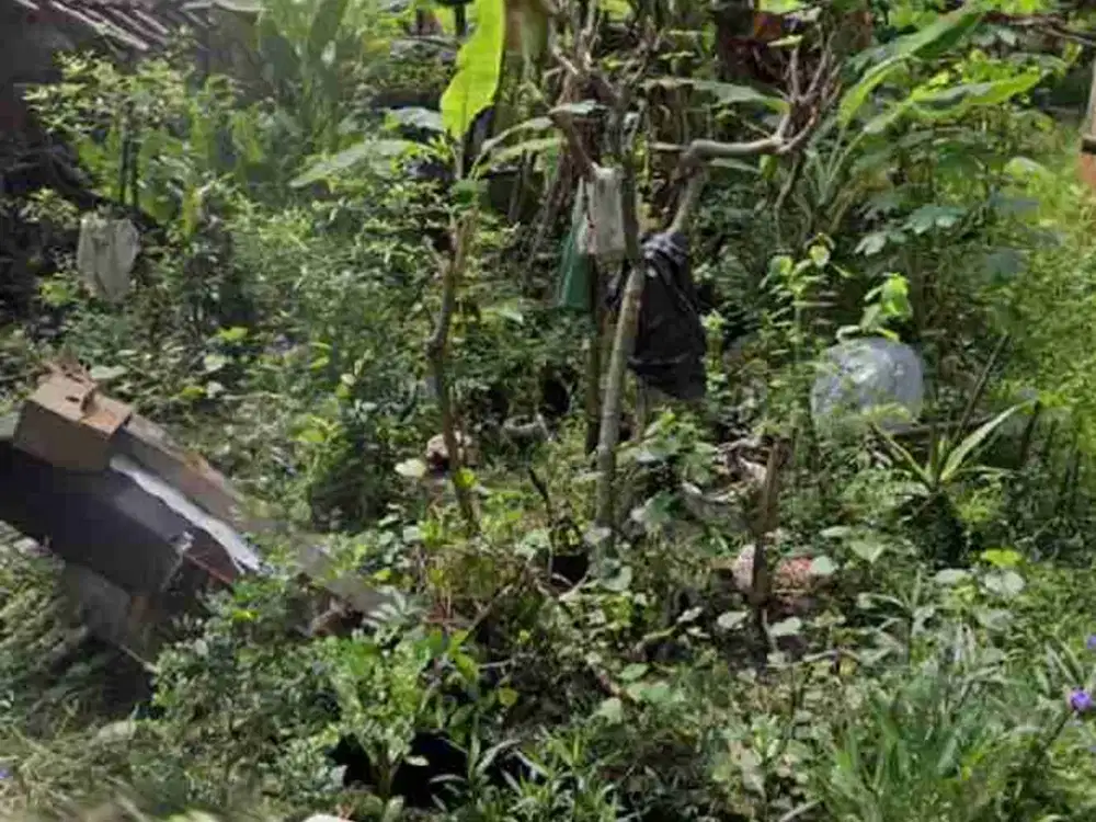 Tanah Dijual Di Kismoyoso Ngemplak Sawahan Boyolali