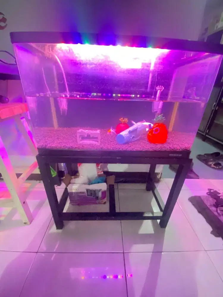 Aquarium fullset