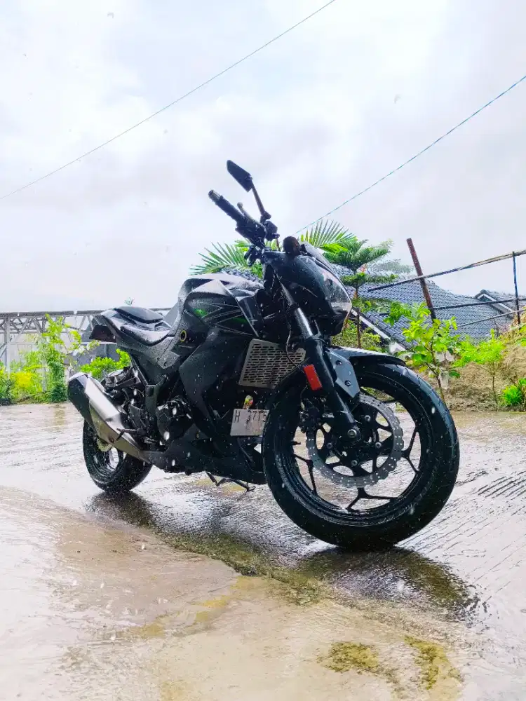 Kawasaki Z250 Fi