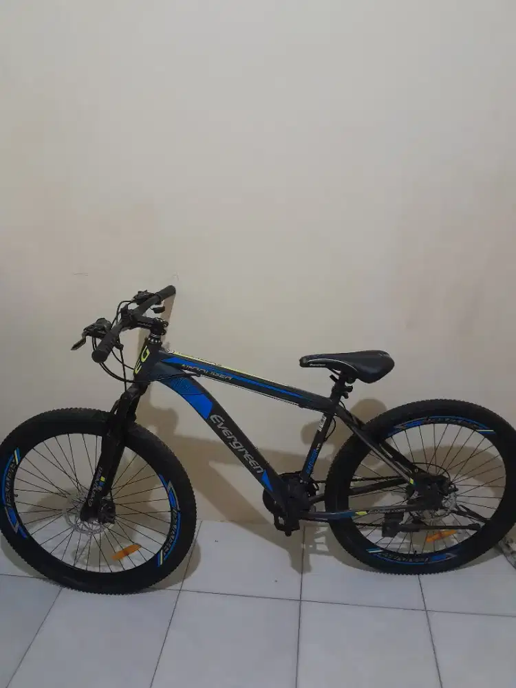 Sepeda gunung mtb evergreen