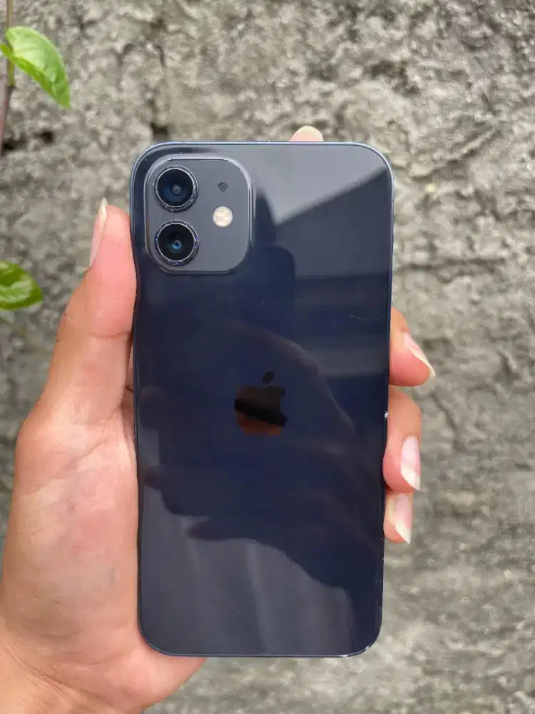 Iphone 12 128Gb ibox resmi