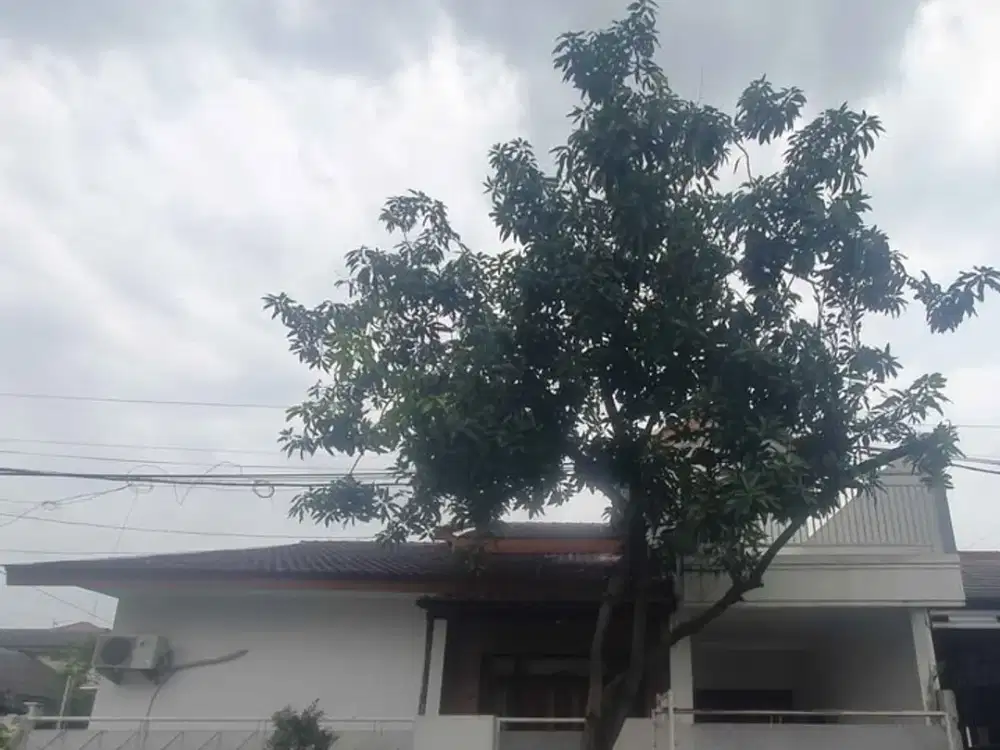 Pondok Tjandra bisa cocok investor hook bisa di pecah