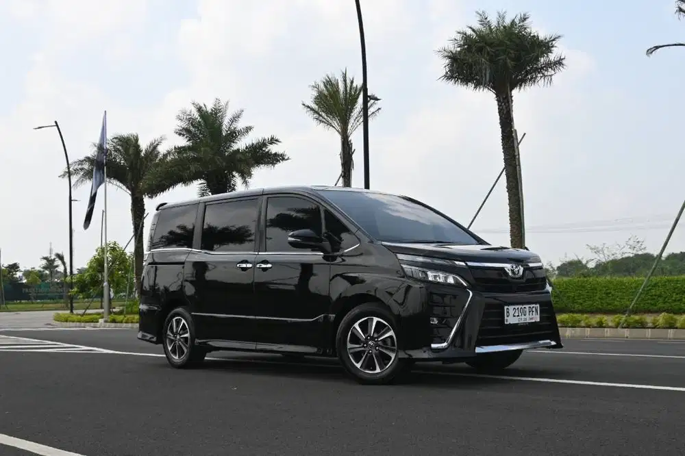 (TDP7jt) Voxy at 2018 Black