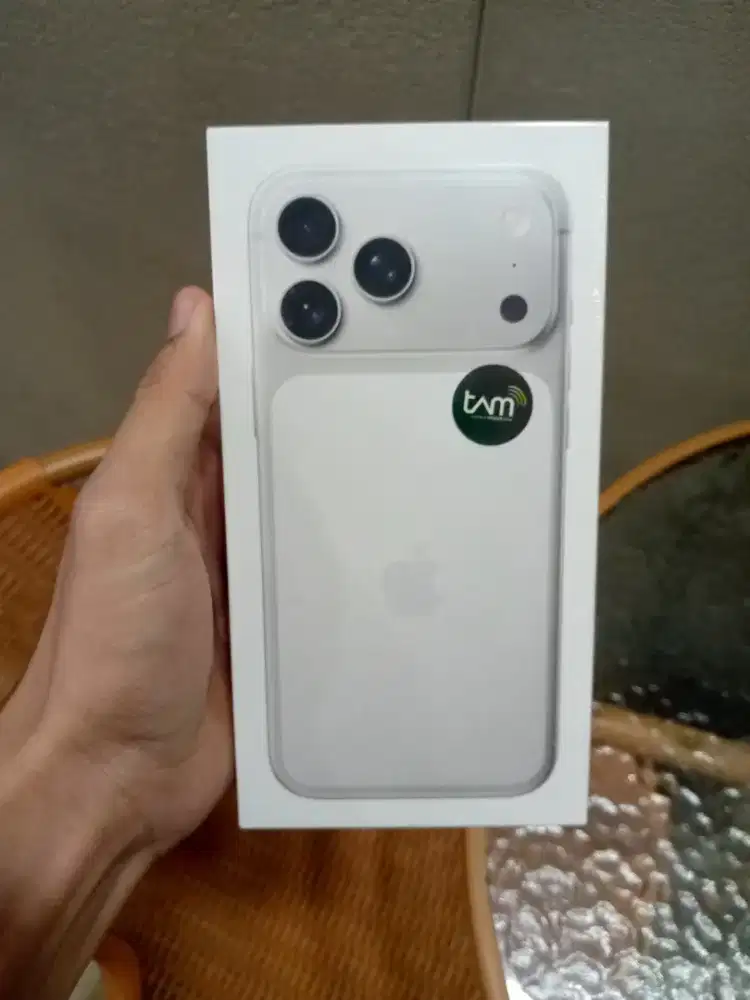 iPhone 17 pro max silver