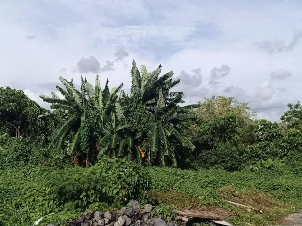 Tanah 2,5 Are di Kawasan Bisnis Dijual, di Denpasar Barat Area