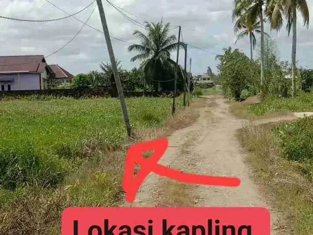 Jual Tanah 1 Hektar Kab.Sorong Sp 2