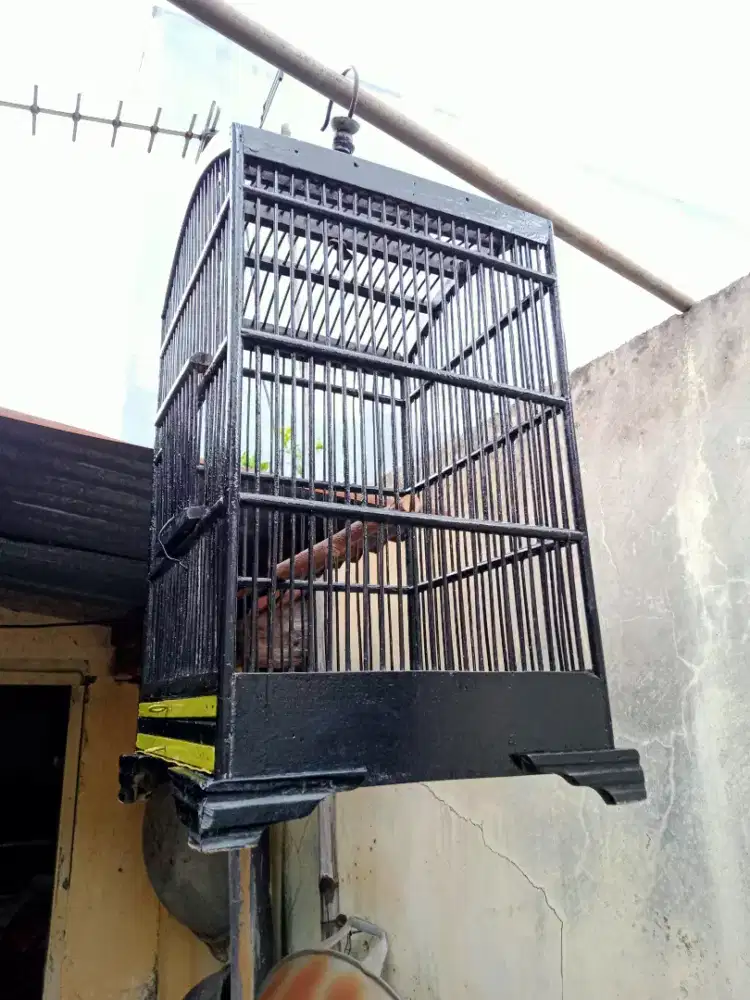 Sangkar alusan 23x23 model kosan