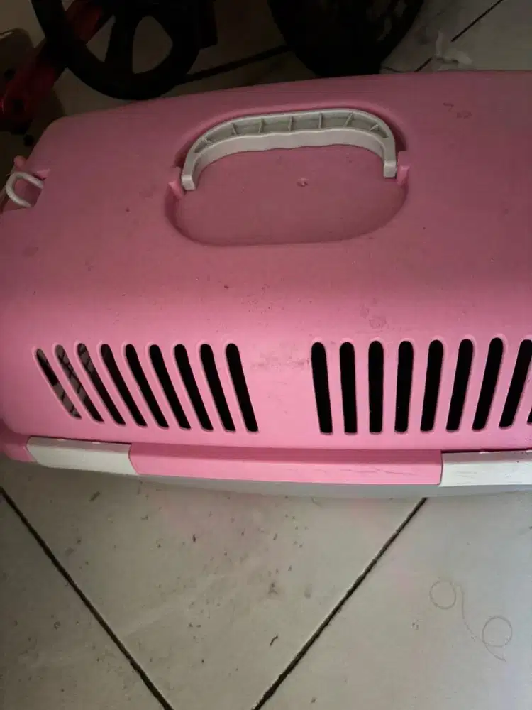 Jual kandang kucing besi dan Pet cargo
