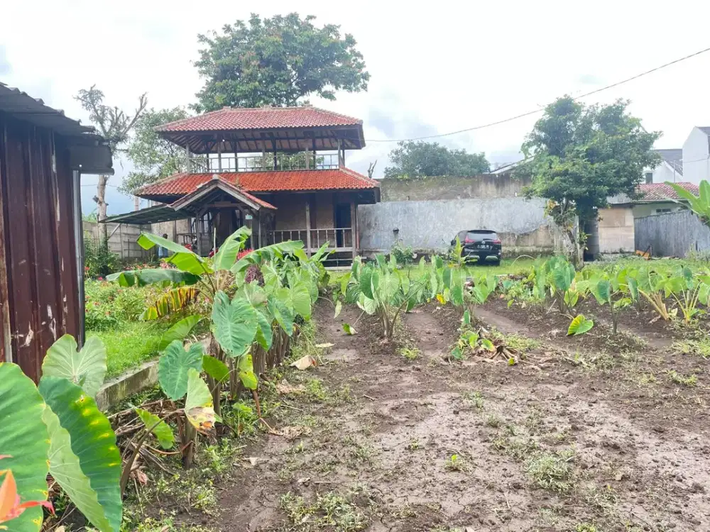 Tanah Bogor Selatan Dekat Aston BNR Bonus Honda Genio