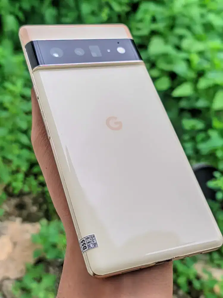Google Pixel 6 Pro 5G