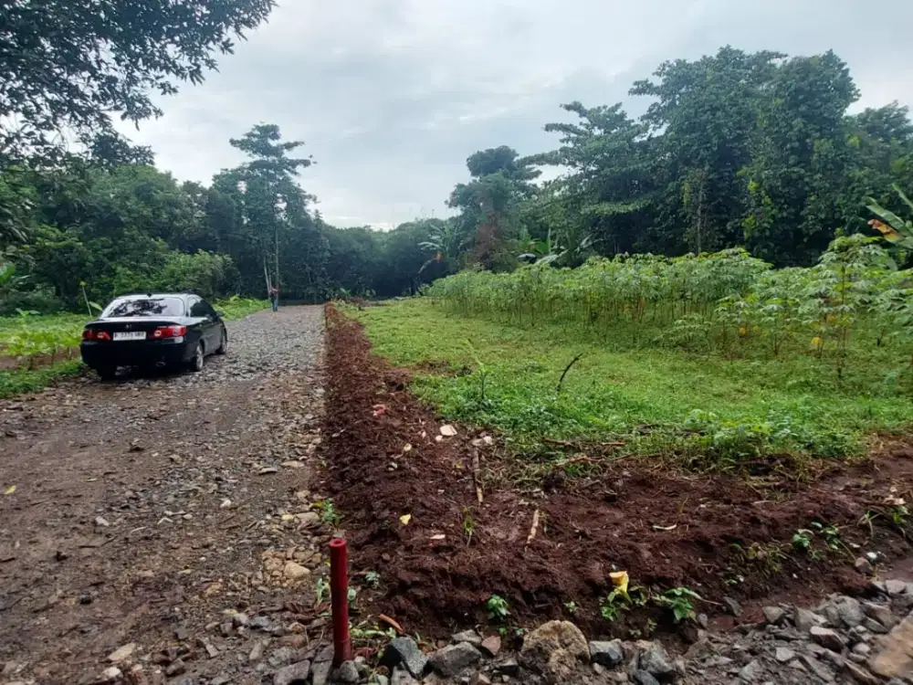 Kavling Murah 1 Juta-an Setu, Bekasi. Selatan Kawasan MM2100. Terima SHM