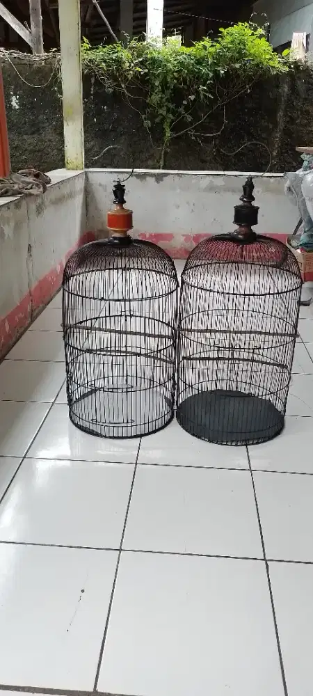 Jual sepasang kandang lovebird
