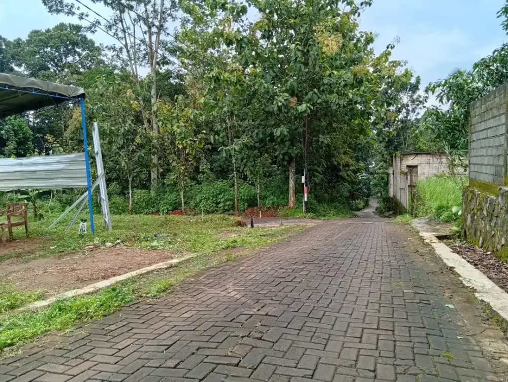 Tanah sangat bagus pinggir jalan siap bangun shm dekat kampus semarang