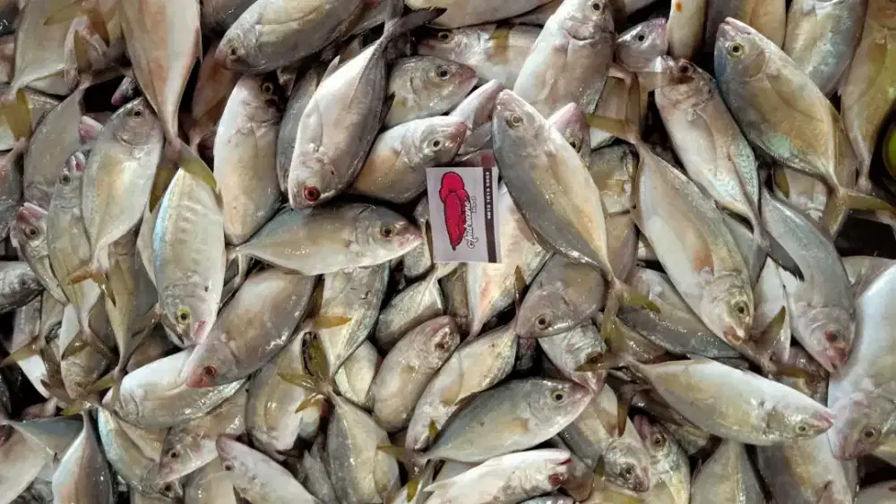 Kurir motor bawa barang