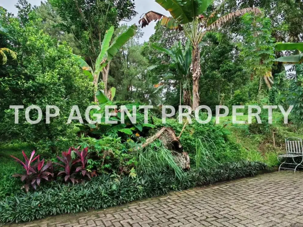 DIJUAL CEPAT SEBIDANG TANAH STRATEGIS DI BOGOR LAKE SIDE/DANAU BOGOR RAYA