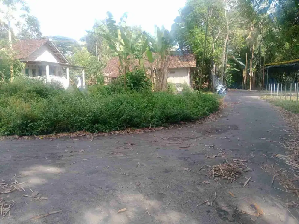 Tanah Pekarangan Siap Bangun Dekat SMU Negeri 1 Seyegan Sleman Yogyakarta
