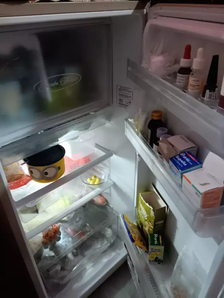 Kulkas 1 pintu Polytron