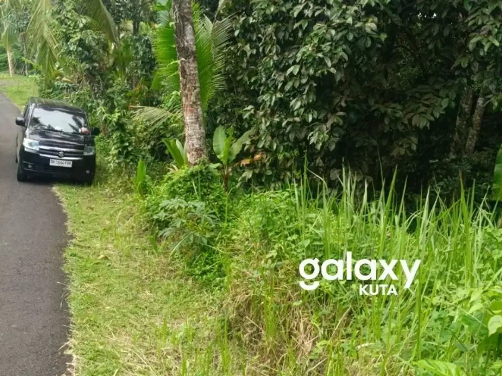 DIJUAL TANAH AGROWISATA LOS SUNGAI DI SELEMADEG BARAT TABANAN, BALI