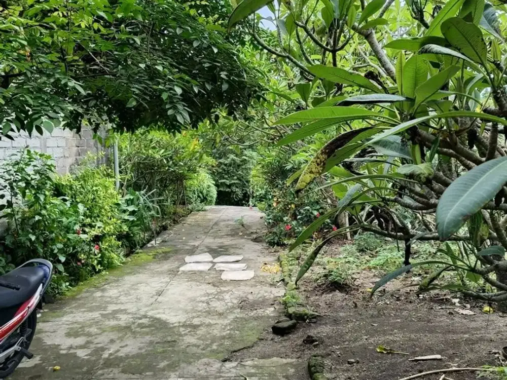 Tanah 7,45 Are Lokasi Tenang dan Nyaman Dijual, di Klungkung Area