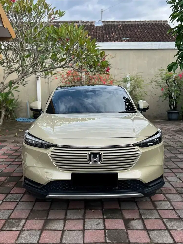 HRV Special Edition 2024