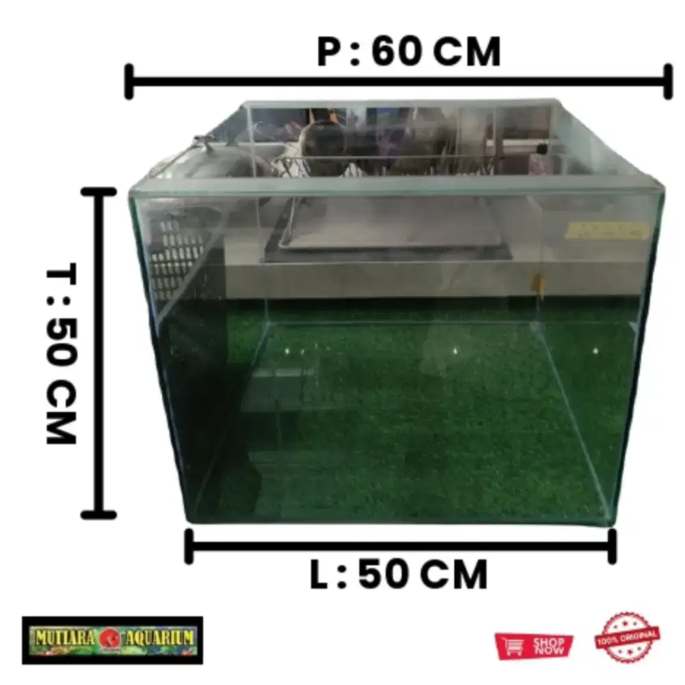AQUARIUM BEKAS UKURAN 60 X 50 X 50 CM (99% LAYAK PAKAI)