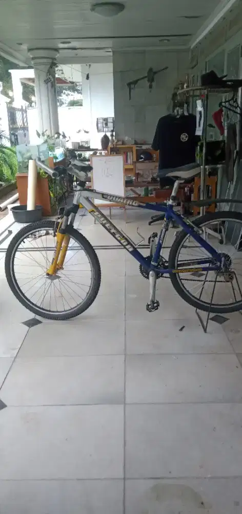 Dijual cepet aja sepeda polygon quarto cubic