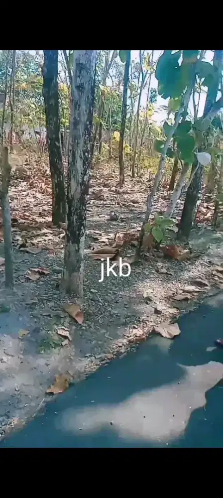 Jual tanah lokasi Banyudono luas 510mtr hrg 200jt nego